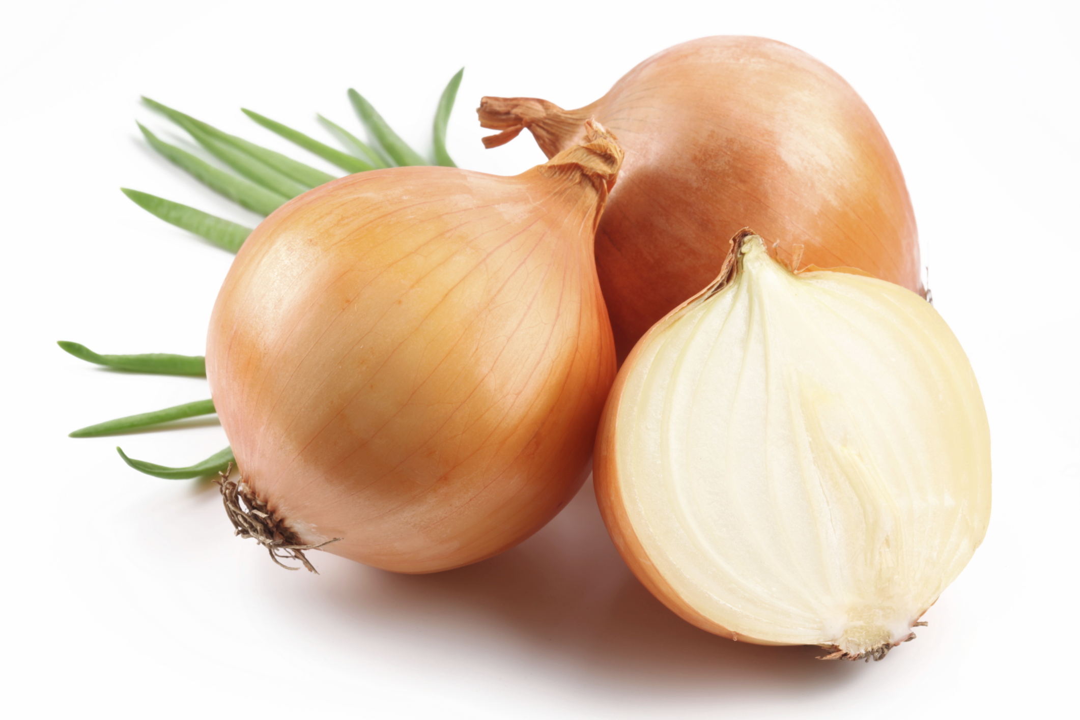 Fresh bulbs of onion