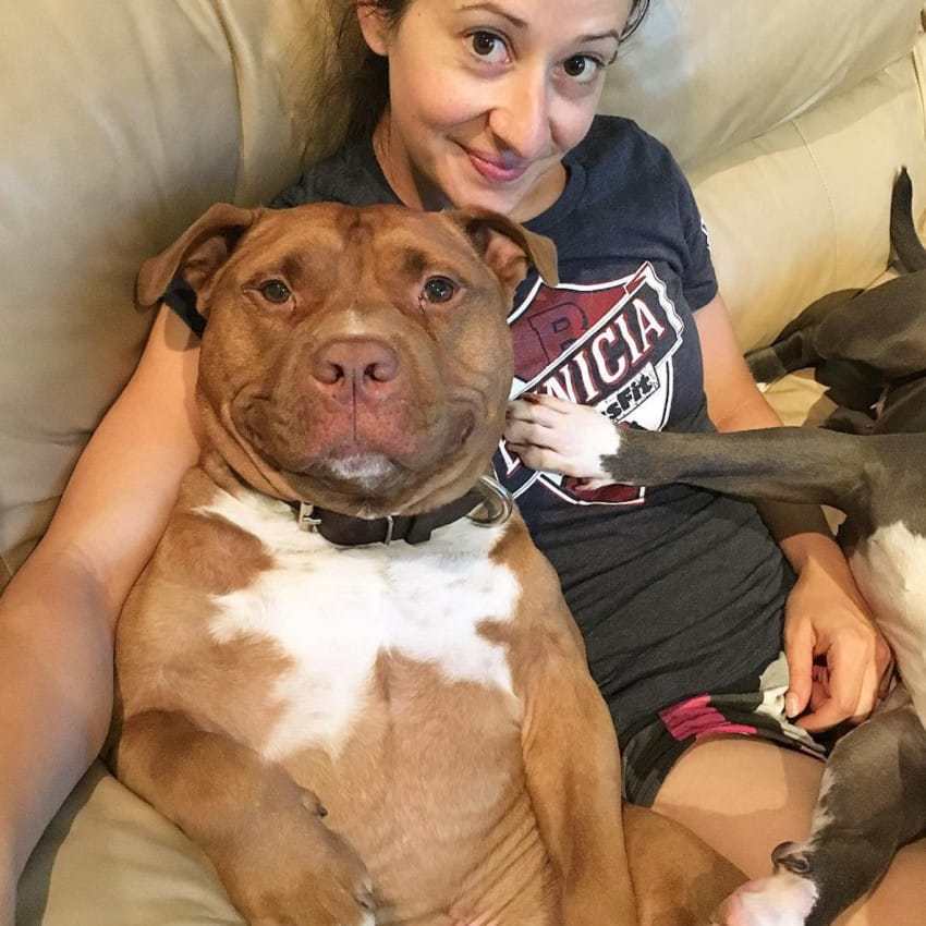 screen-shot-2016-09-01-at-11-03-27-am-850x850