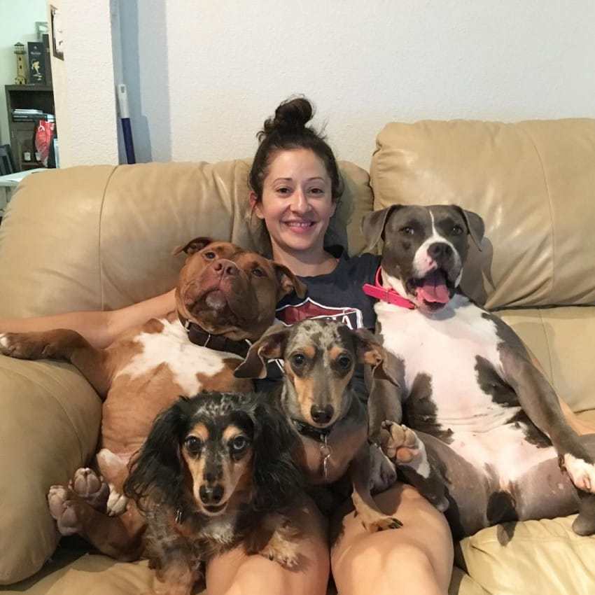 screen-shot-2016-09-01-at-11-03-51-am-850x850