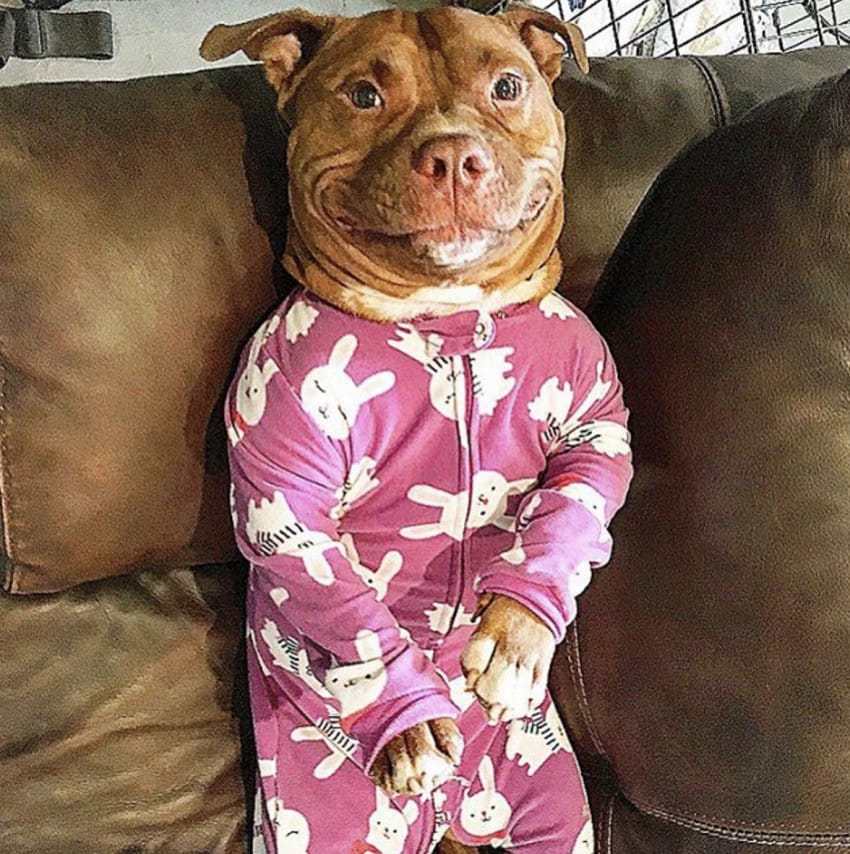 screen-shot-2016-09-01-at-11-06-44-am-850x854