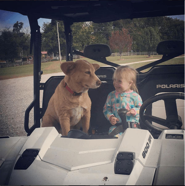 screen-shot-2016-11-24-at-11-56-49-am