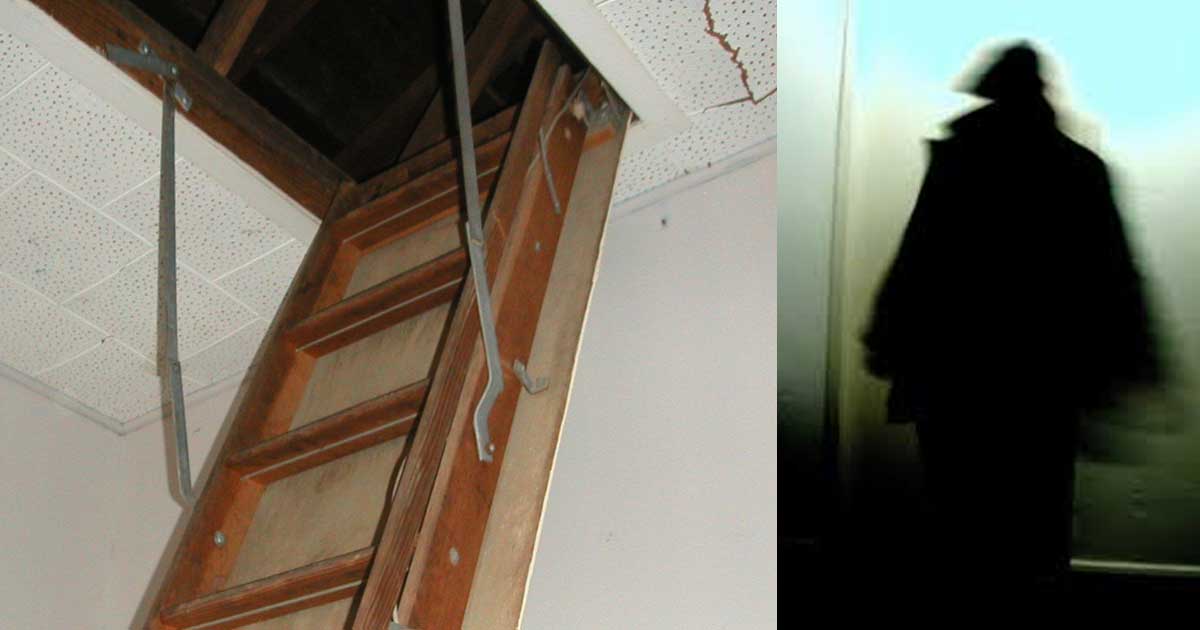 Mother Discovered Stranger Living In Her Attic After Hearing Strange Noises At Night Small Joys