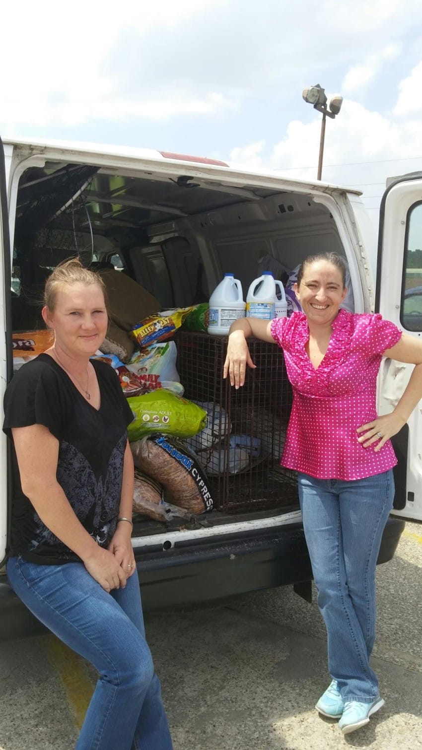 Forgotten Dogs Of The 5th Ward Project