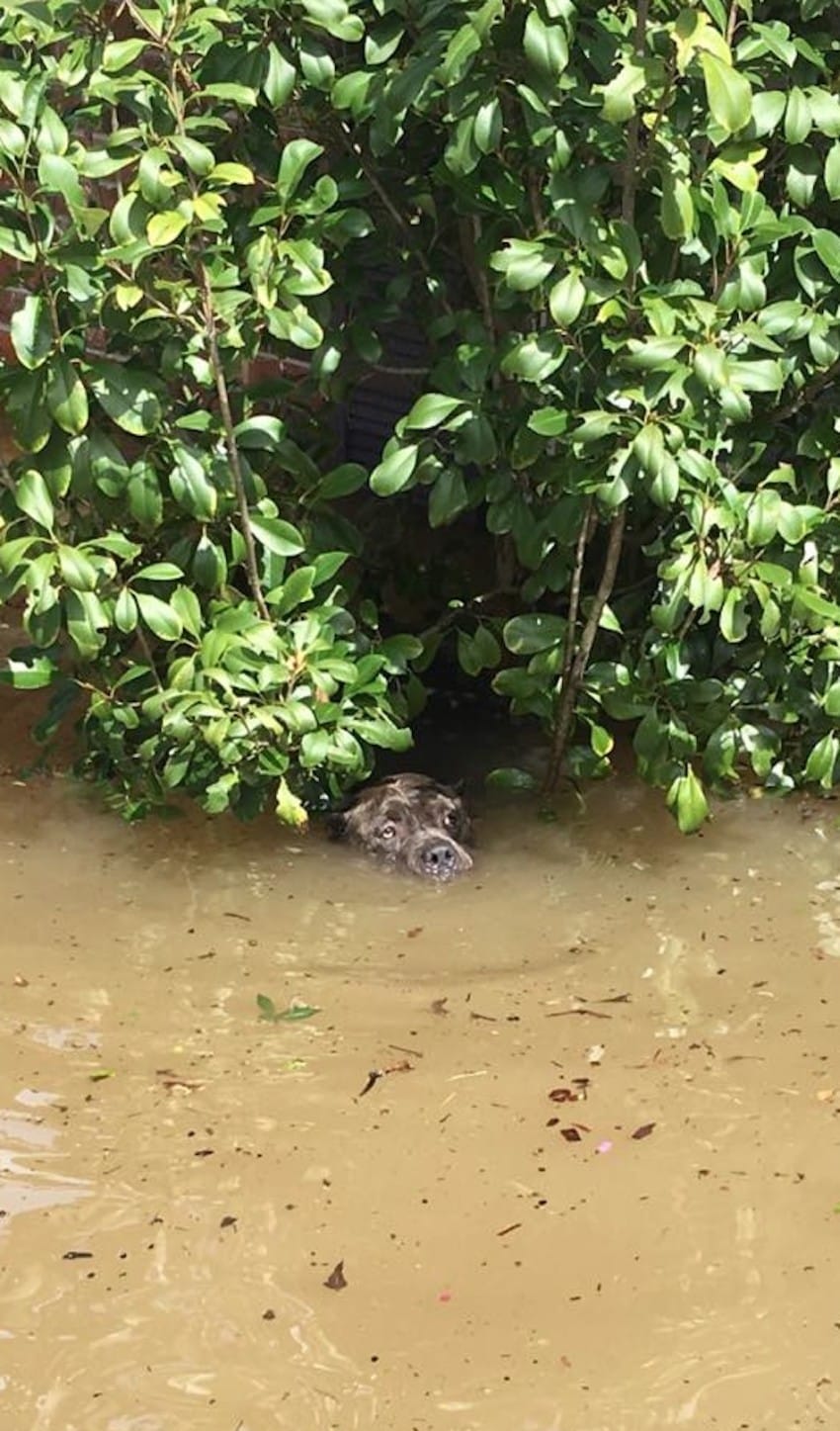 Image via Littlethings