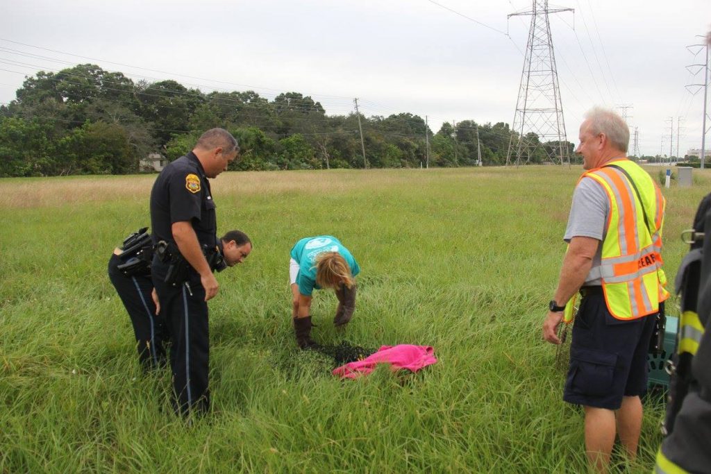 14589997_1105181332870398_3496046816976759964_o