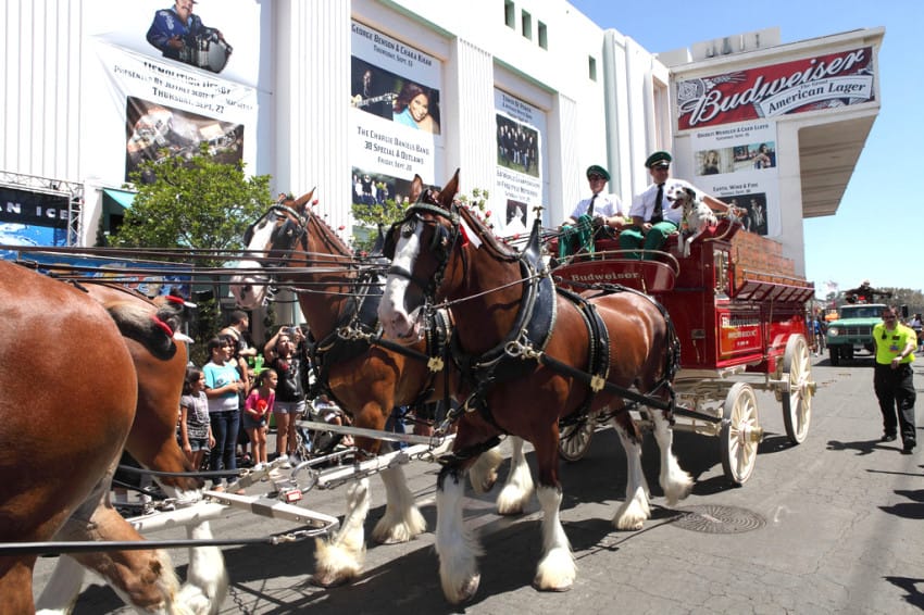 8015534311_954009ae51_b-2-850x566