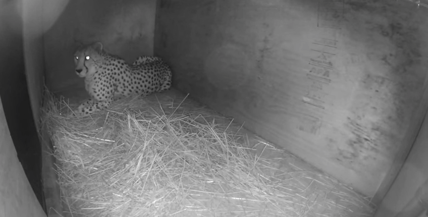 screen-shot-2017-01-18-at-6-24-23-pm