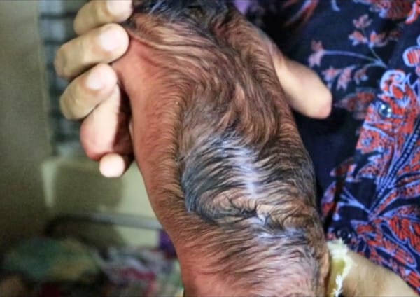 Image via Caters News Agency