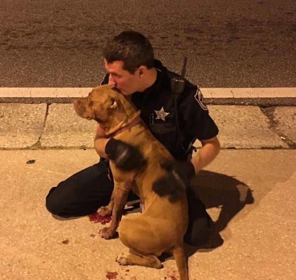 Image via Facebook / Orange County Sheriff's Office, Florida