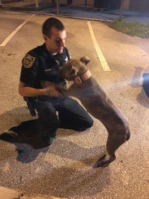 Image via Facebook / Orange County Sheriff's Office, Florida