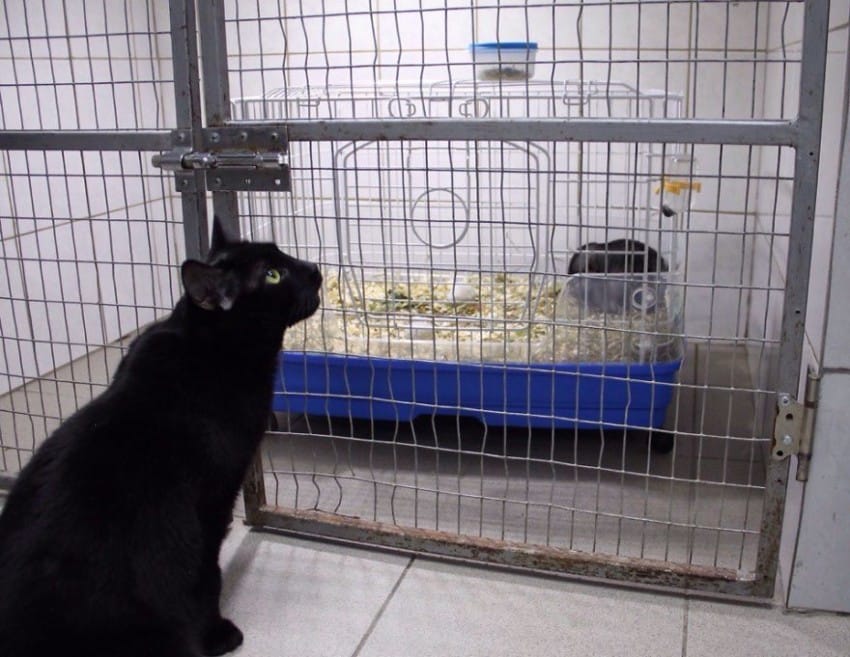 Image via klykperm / Instagram.