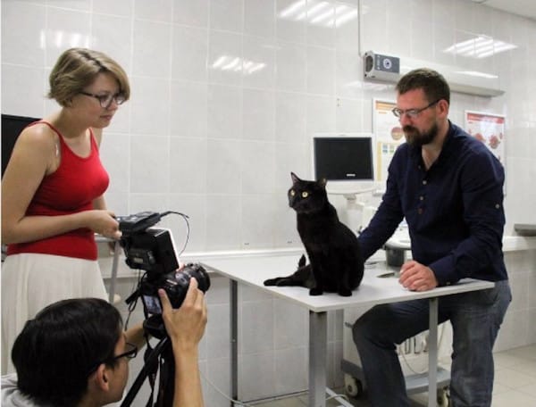 Image via klykperm / Instagram.