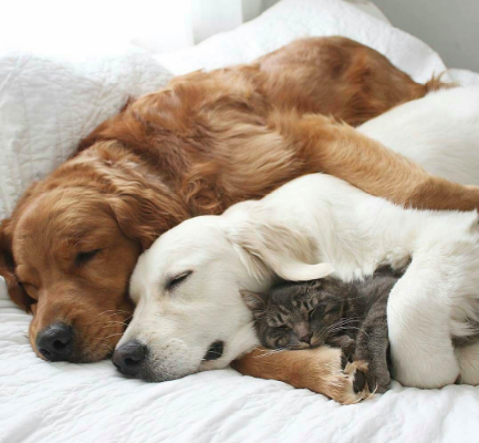 Image via Wissensquelle