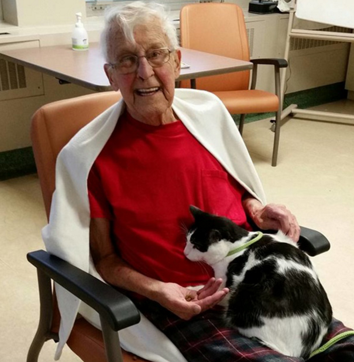 Facebook / Zachary's Paws for Healing