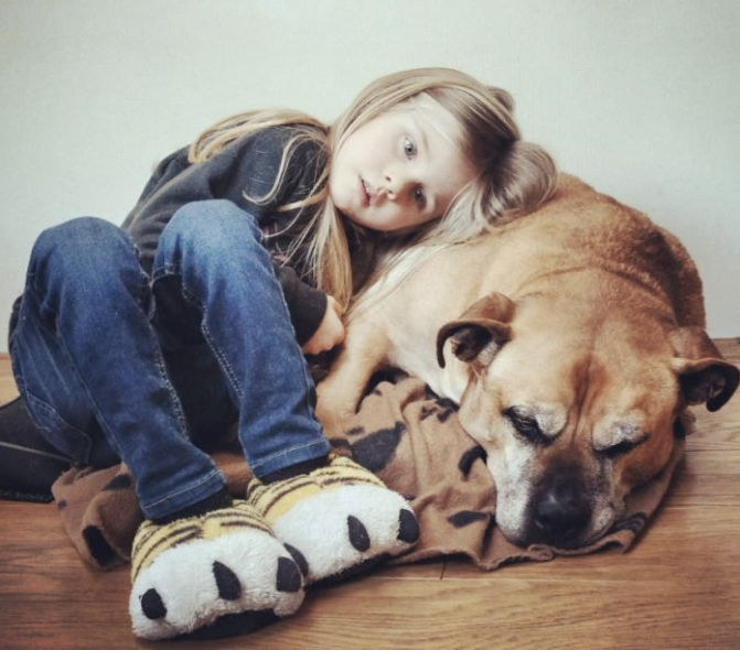 Image via Viral Novelty 