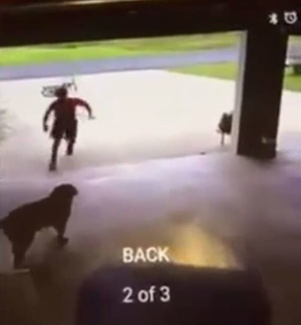 Facebook / Hollie Mallet