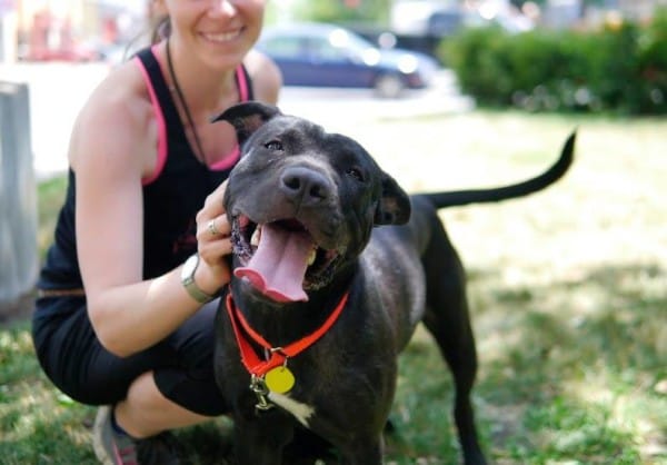 Facebook/SPCA de Montreal