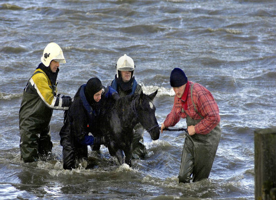 Image via Martin Cuff