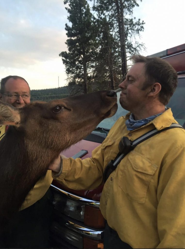 Facebook / Kittitas County Fire District #7