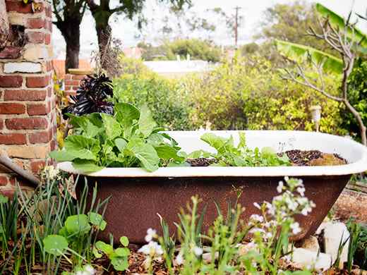 Image via Garden Betty