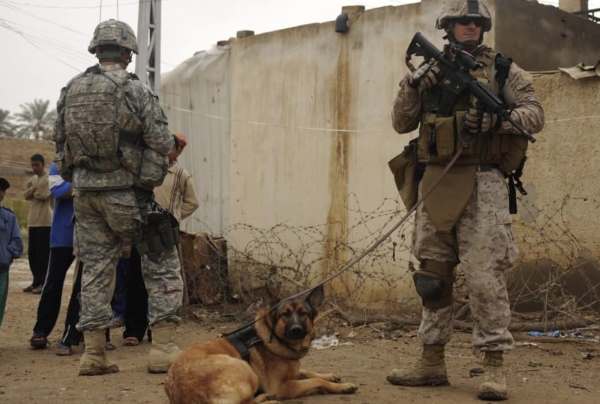 Image via YouTube / PDSA