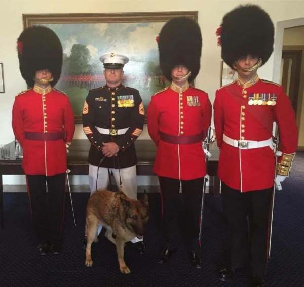 Image via The Coldstream Guards / Facebook