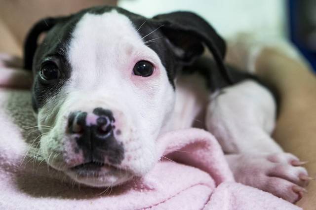 Image via Kansas City