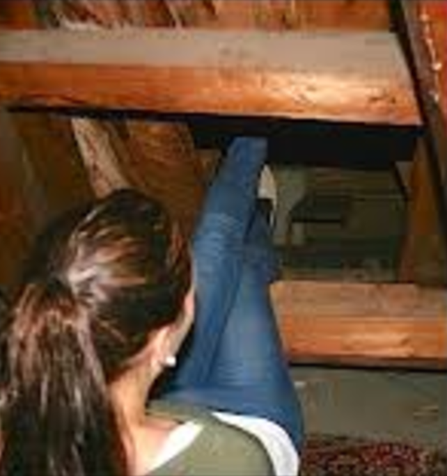 Image via Shared This