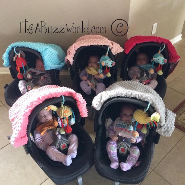 Image via It's A Buzz World