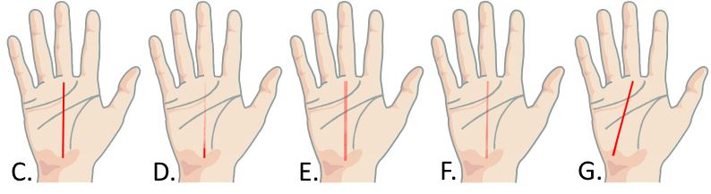 Image via Your Chinese Astrology