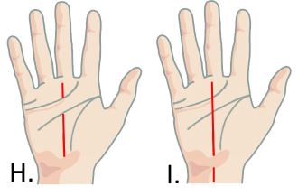 Image via Your Chinese Astrology