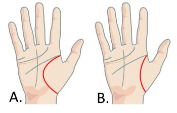 Image via Your Chinese Astrology