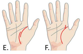 Image via Your Chinese Astrology