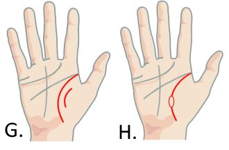 Image via Your Chinese Astrology