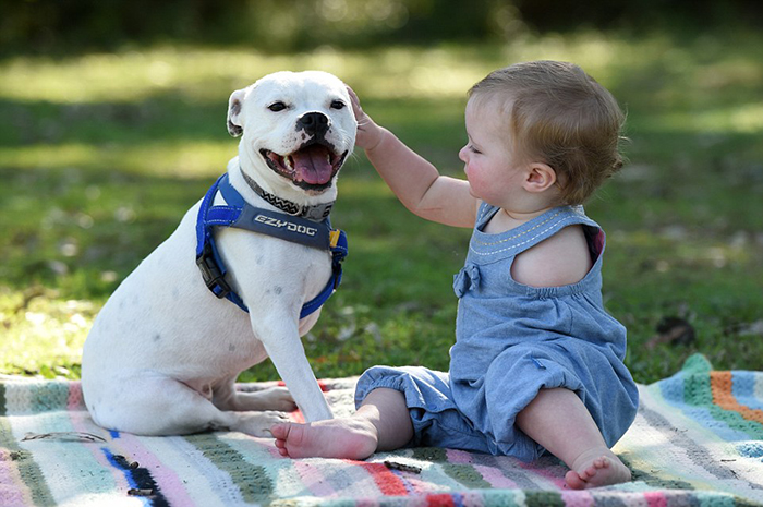 Facebook / Brook Hodgson