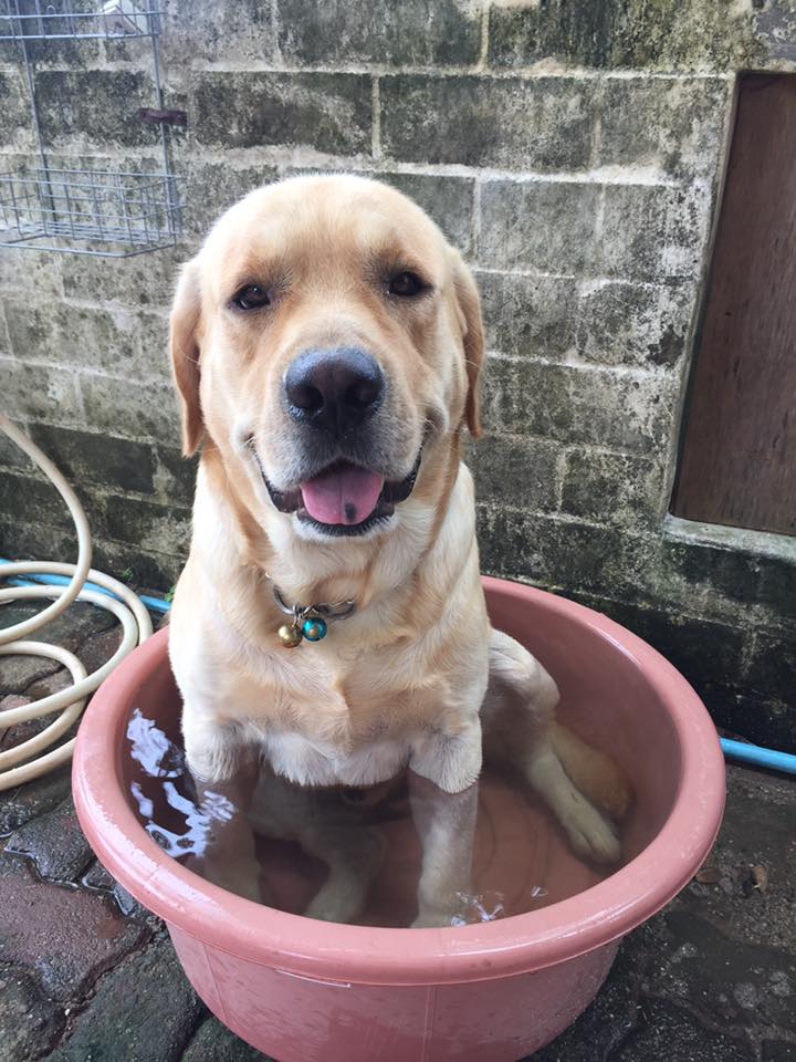 Facebook "Oranit Kittragul"