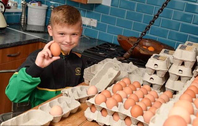 Facebook | Mr Free Range