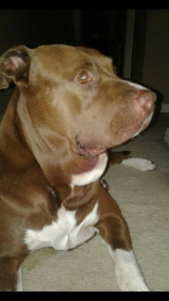 facebook 'Love What Matters'