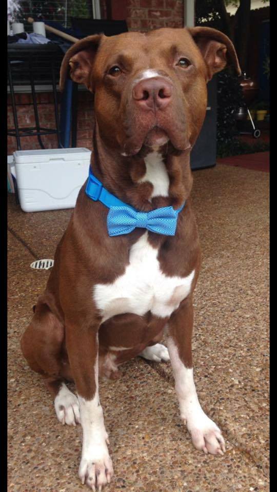 facebook 'Love What Matters'