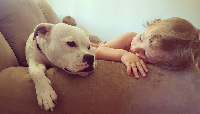 Facebook / Brook Hodgson