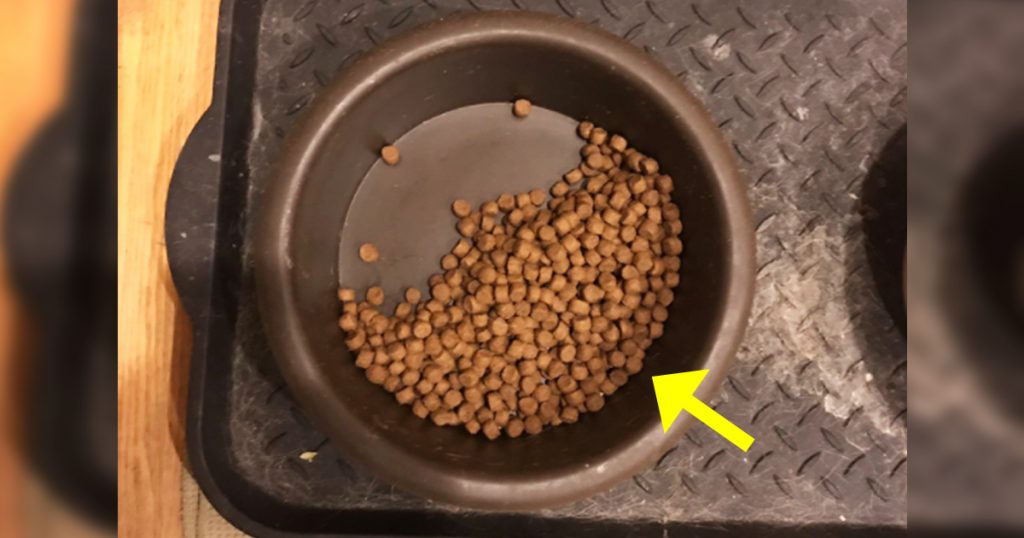 twitter 'EastonDufur'