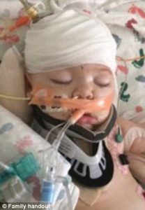 402f262f00000578-4494486-image-a-89_1494479711451