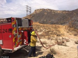 4242af6400000578-4689756-image-a-37_1499879616977