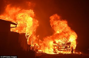 4242dcb800000578-4689756-image-a-38_1499879623372