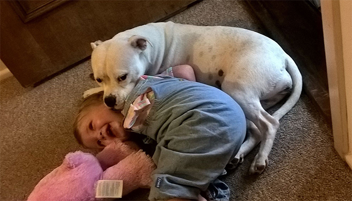 Facebook / Brook Hodgson