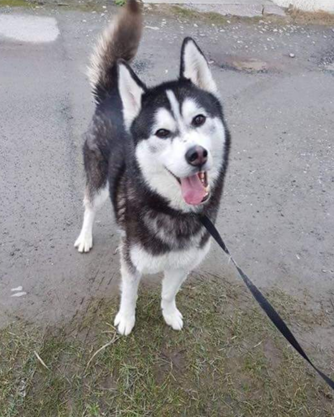 Facebook "Oranit Kittragul"