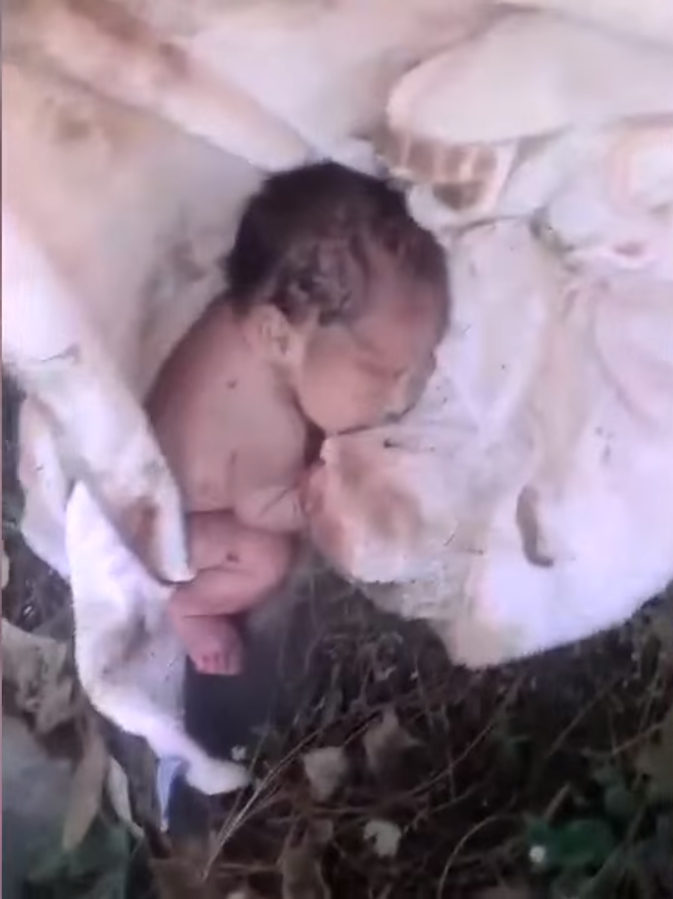 Youtube | Milenio Jailsco