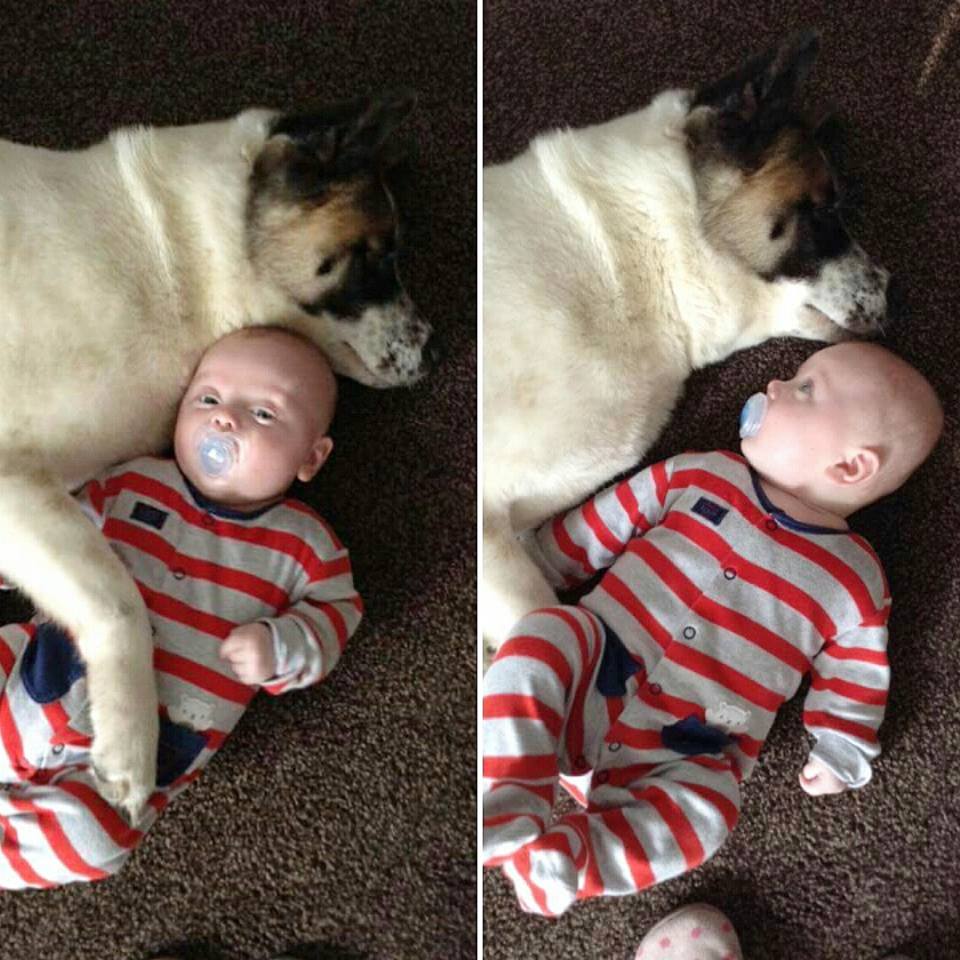 Facebook | Alhanna Butler