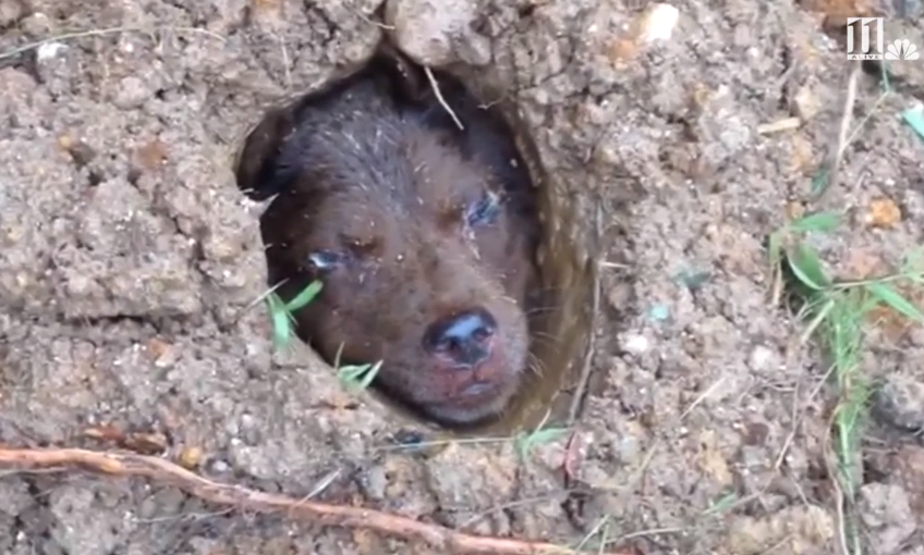 Youtube Screenshot | 11Alive