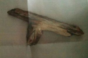 stick-gun-brandy_miller-facebook-370x242